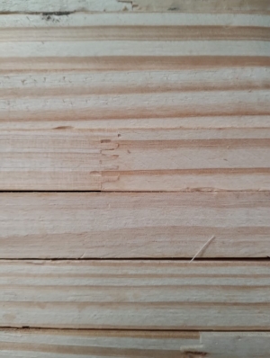 Blanks fingado de Pinus